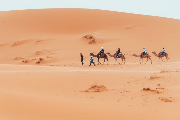 Marrakech desert tours & day trips from marrakech