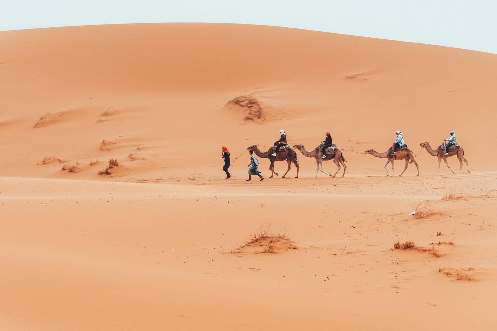 Marrakech Desert Tours & Day Trips from Marrakech