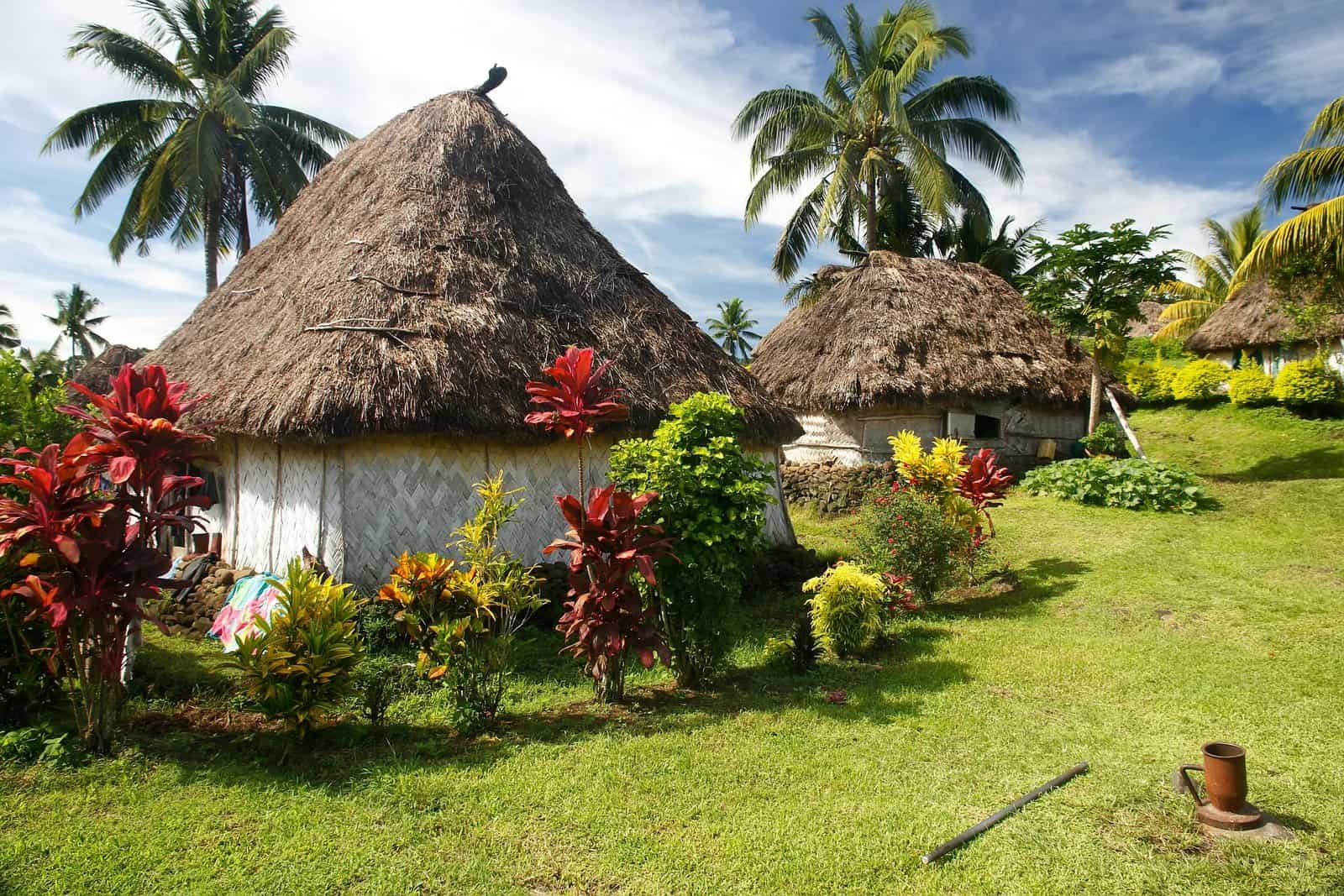 Traditional houses of navala village, viti levu island, fiji