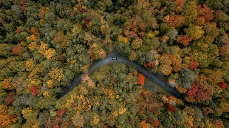 72 hours in the great northern catskills: an adventure-ready itinerary