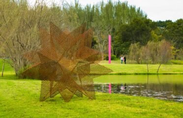 NIROX Sculpture Park