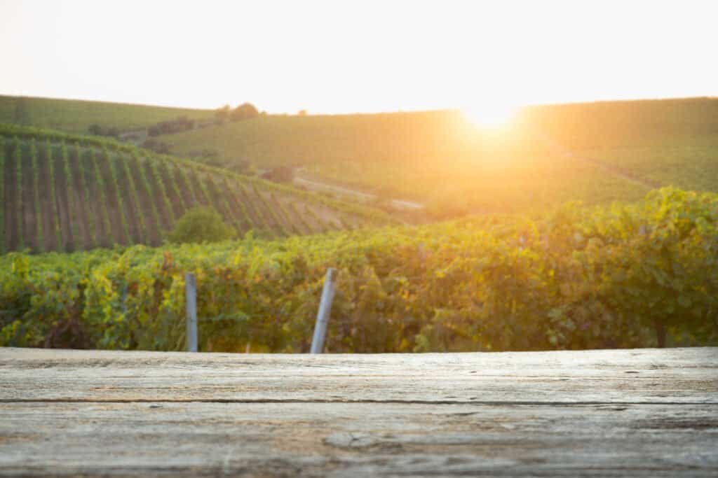 Wine country