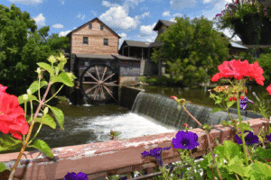 Why Local Experiences Matter More Than Tourist Attractions