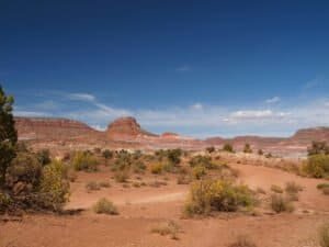 Setting the Desert Scene