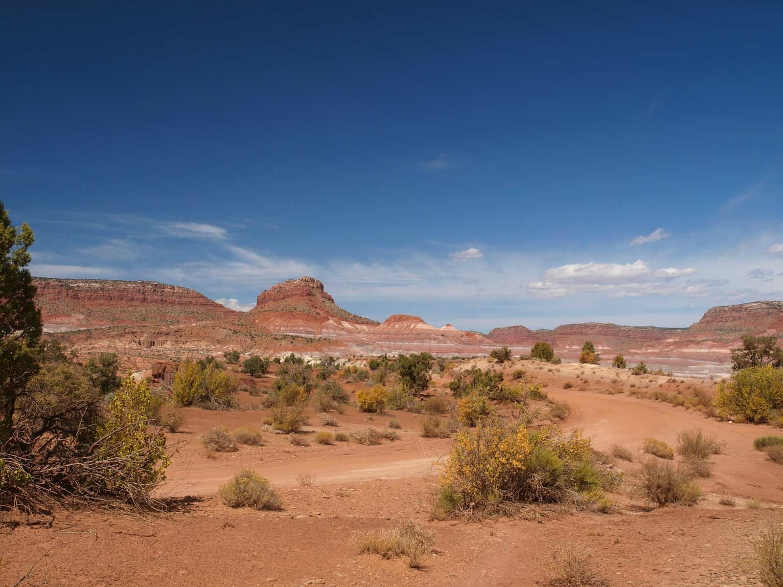 Setting the Desert Scene