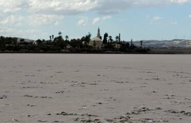 Larnaca Salt Lake