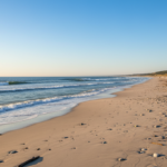 A Weekend in the Hamptons: What to Expect Beyond the Hype