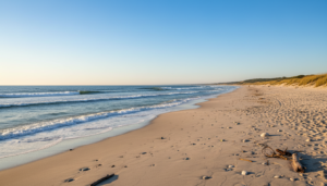 A Weekend in the Hamptons: What to Expect Beyond the Hype A Weekend in the Hamptons: What to Expect Beyond the Hype