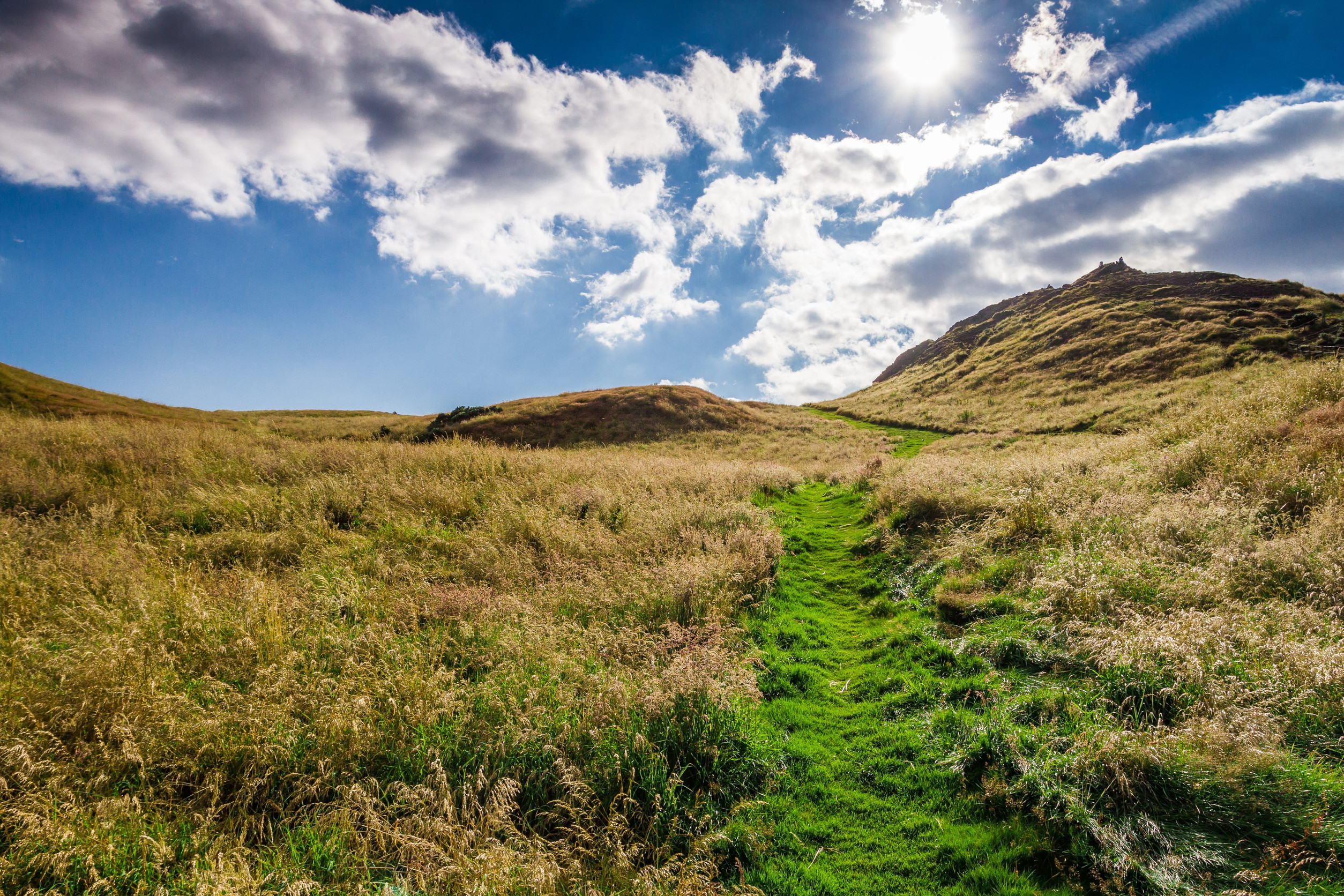 Roam Britain: Dog-Friendly Stays, Highland Trails & Coastal Adventures