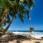 Costa Rica: Adventure and Nature in Guanacaste