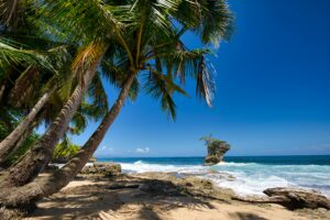 Costa Rica: Adventure and Nature in Guanacaste