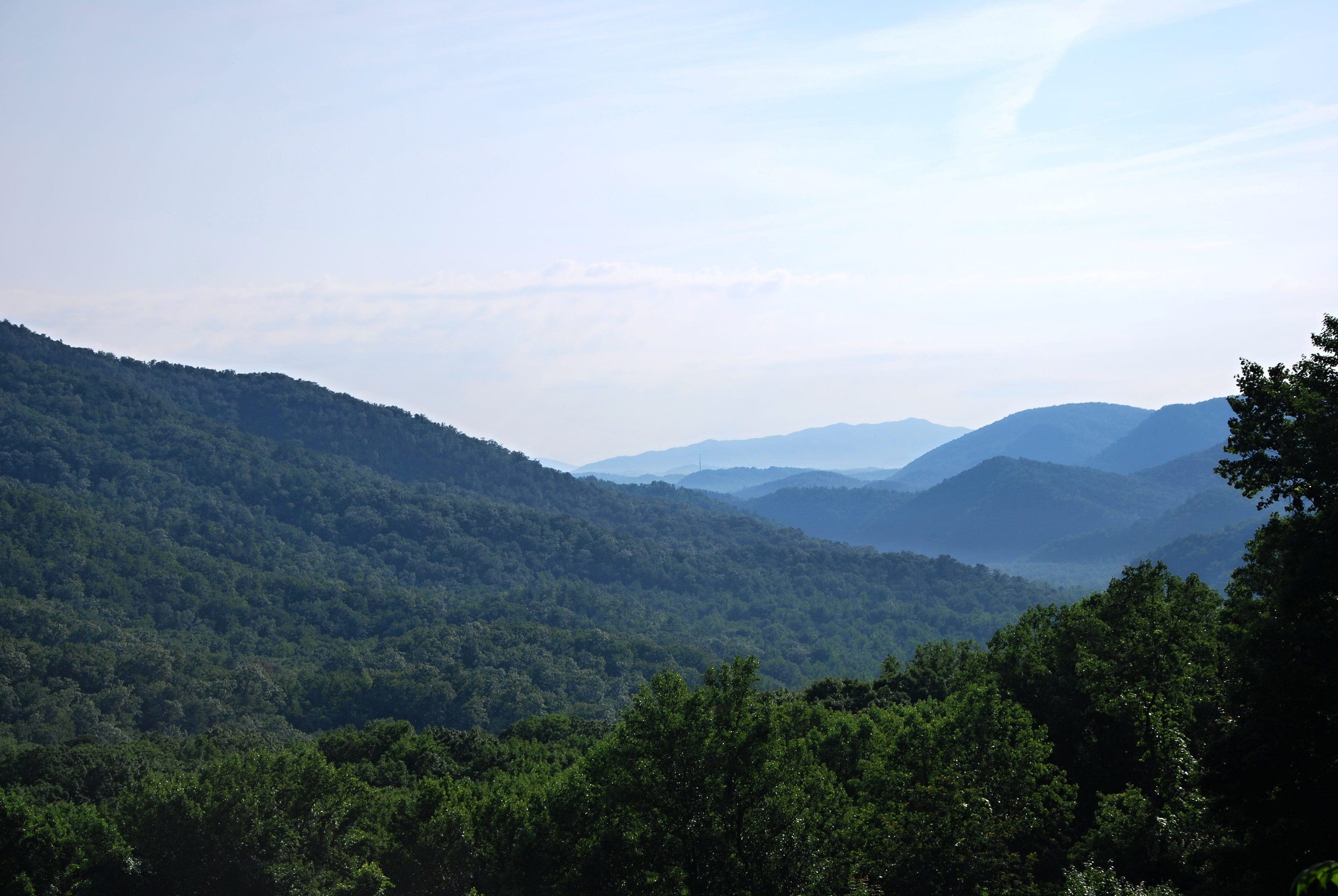 A Guide to Family-Friendly Camping in the Smoky Mountains