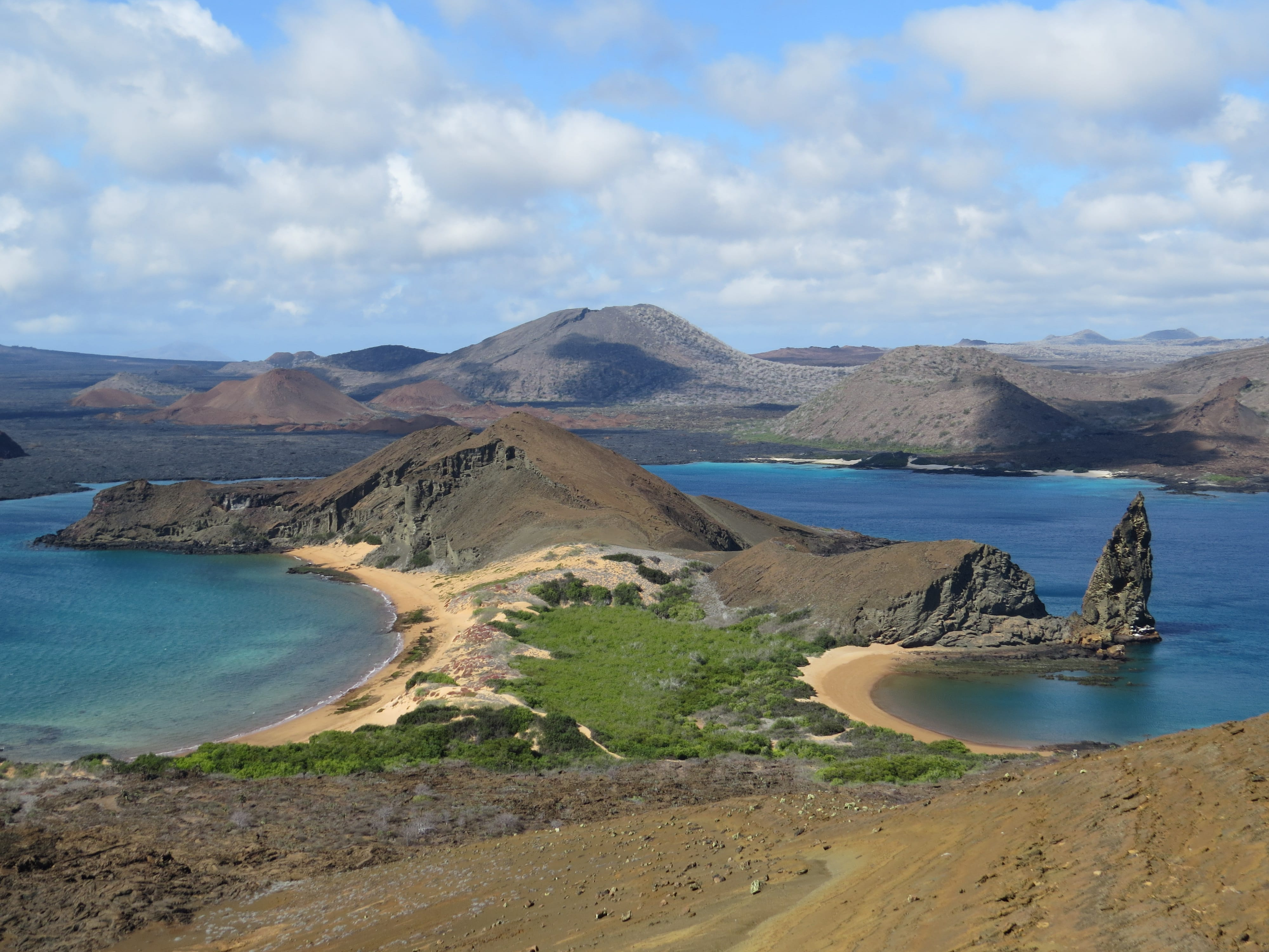 A Traveler’s Guide To The Galápagos’ Most Iconic Wildlife Encounters 