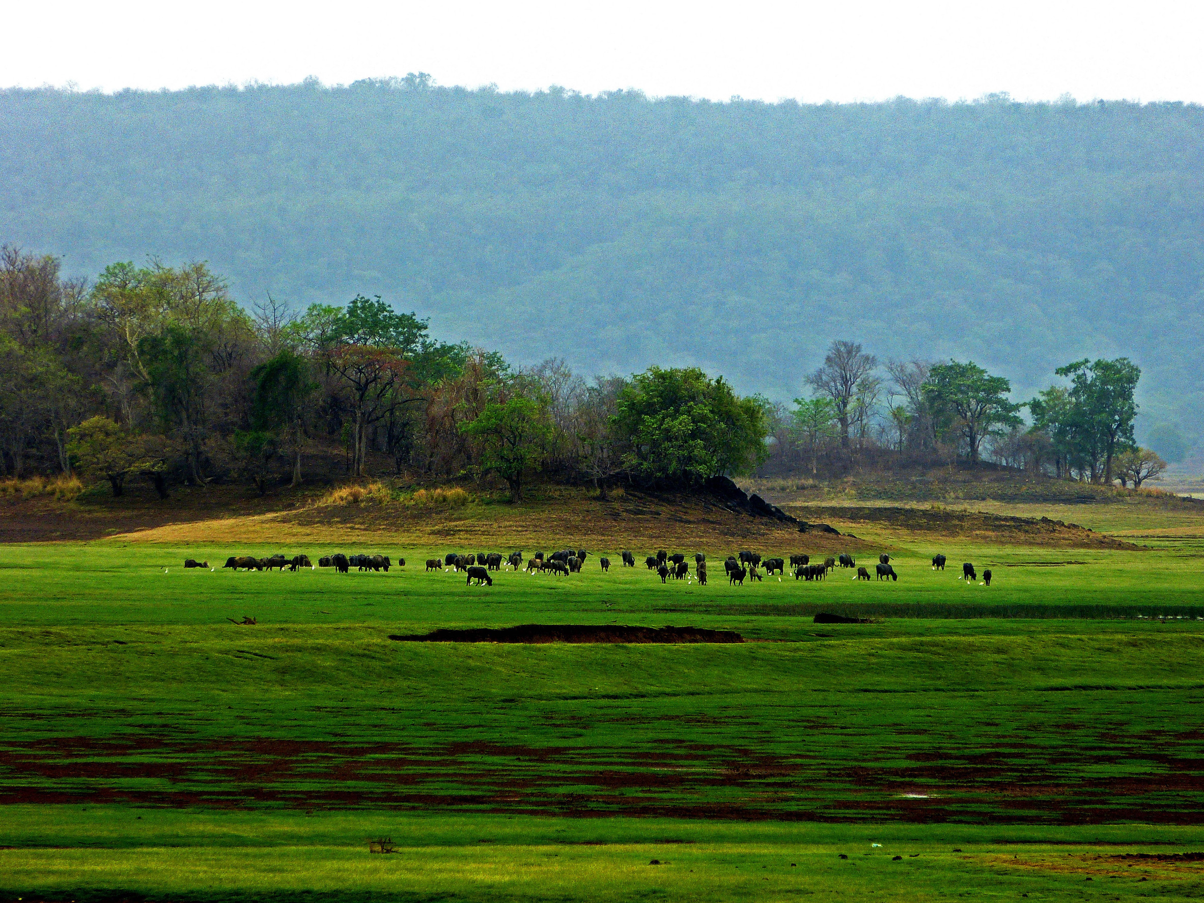 Most Stunning Natural Landscapes to Visit in India in 2026