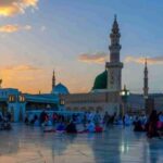 Profile picture of Qurat-ul-Ain